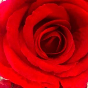 Meet your Posher, Ashken